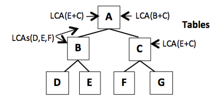 Figure 13. New LCA processing